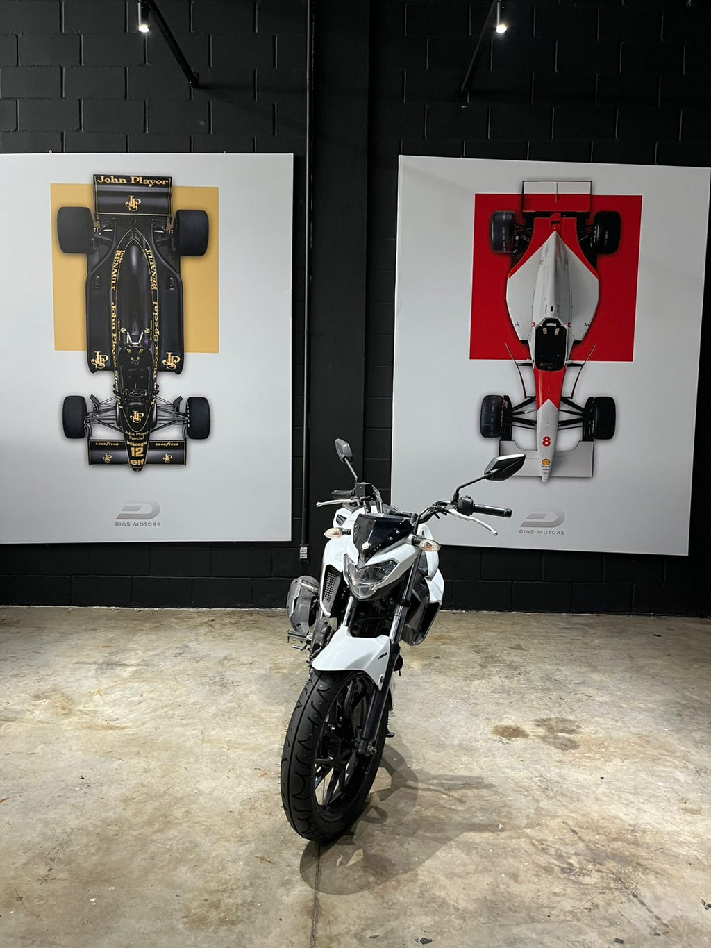 2019 FZ25 FAZER 250cc