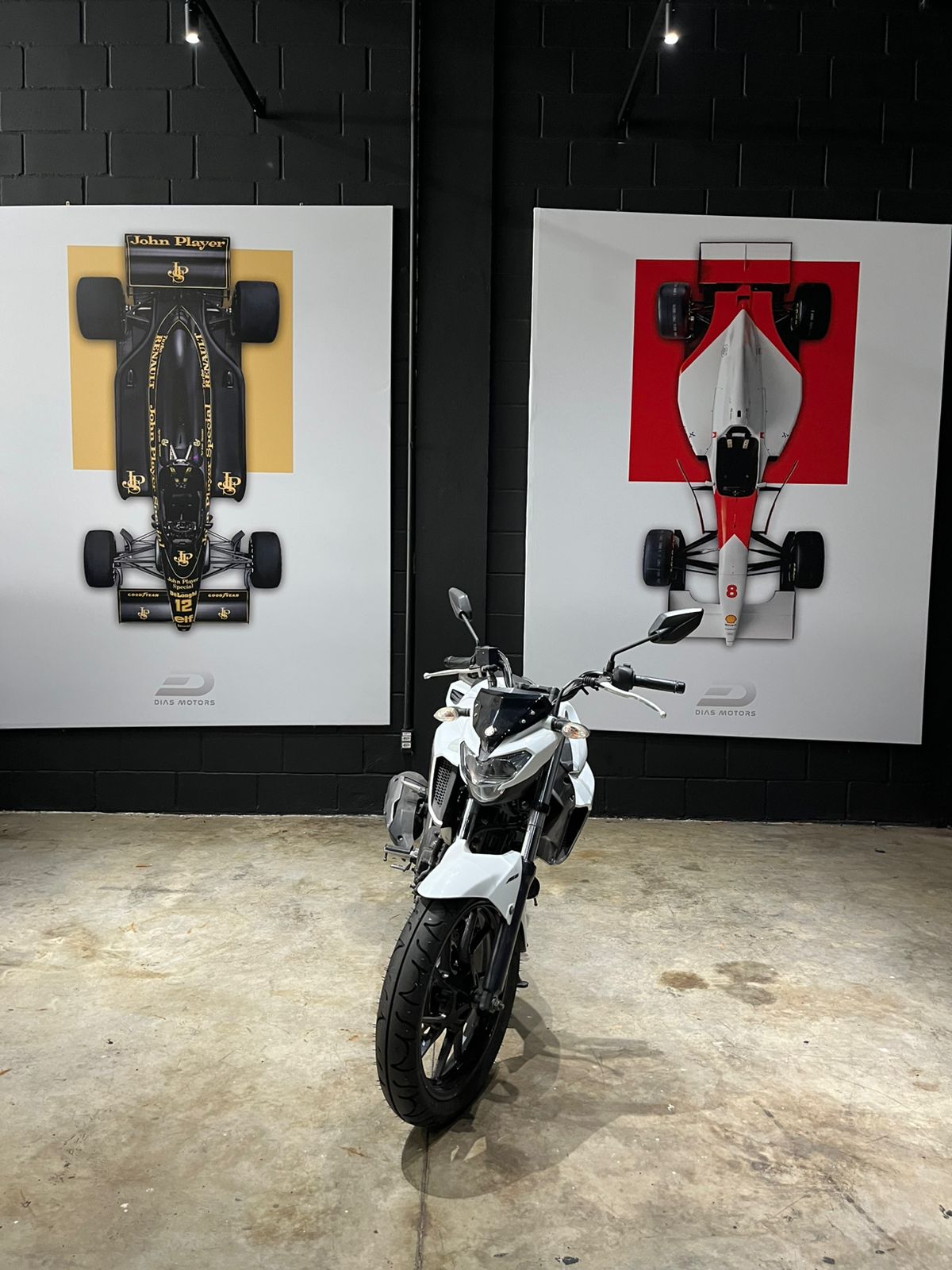 2019 FZ25 FAZER 250cc