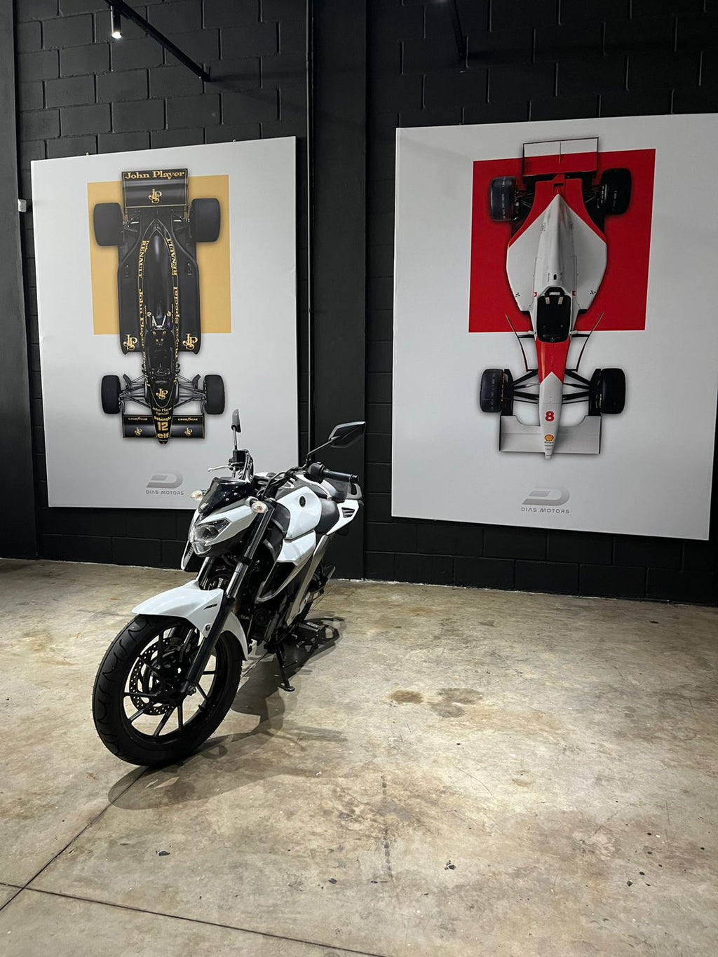 2019 FZ25 FAZER 250cc