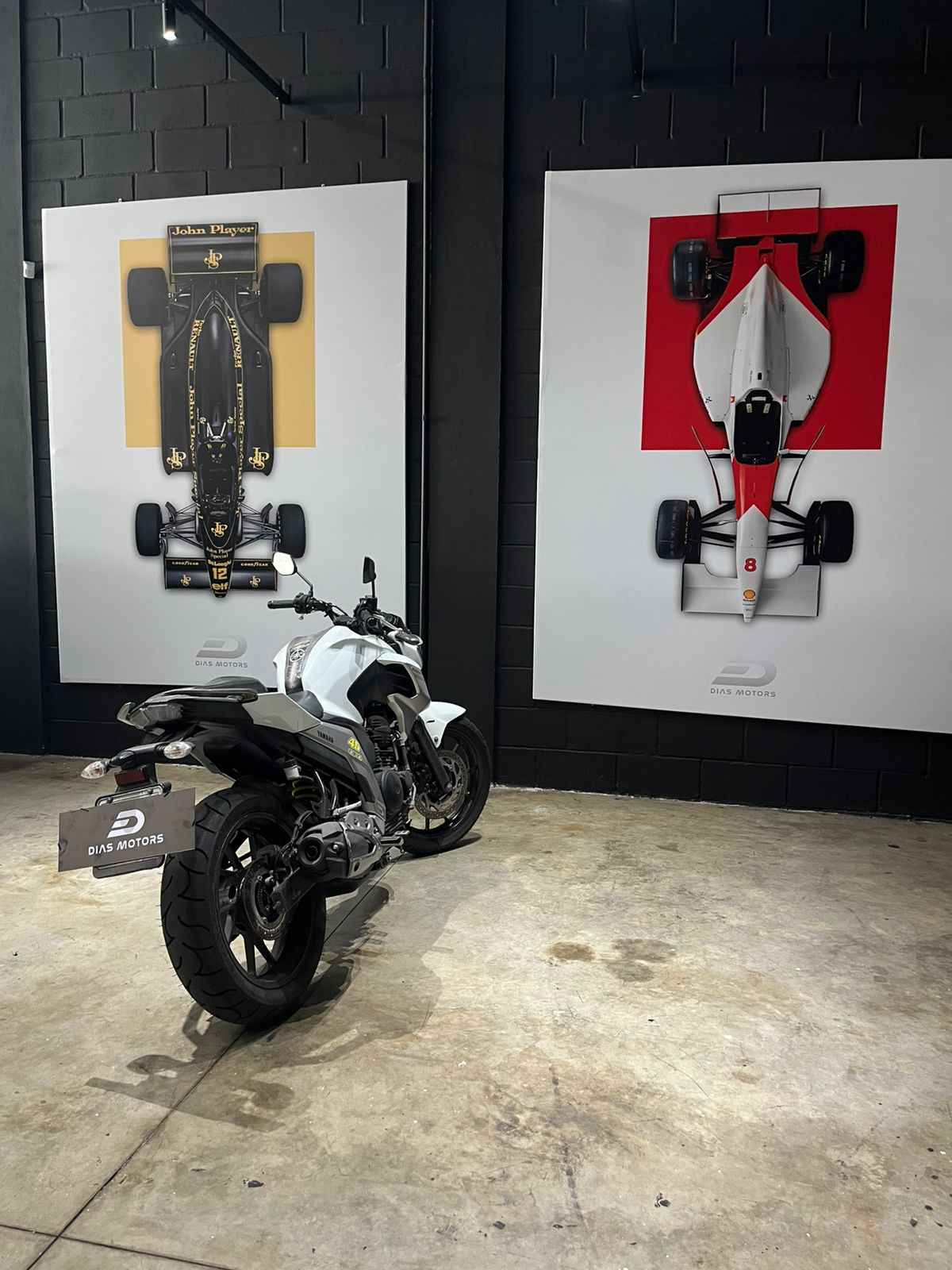 2019 FZ25 FAZER 250cc